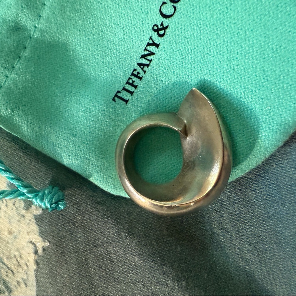 Tiffany & Co. Frank Gehry collaborated circle fish Silver charm
